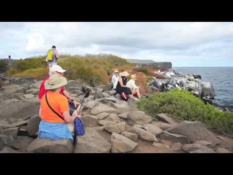 Beluga Galapagos Cruise