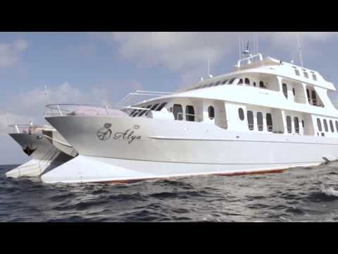 Alia Galapagos Cruise