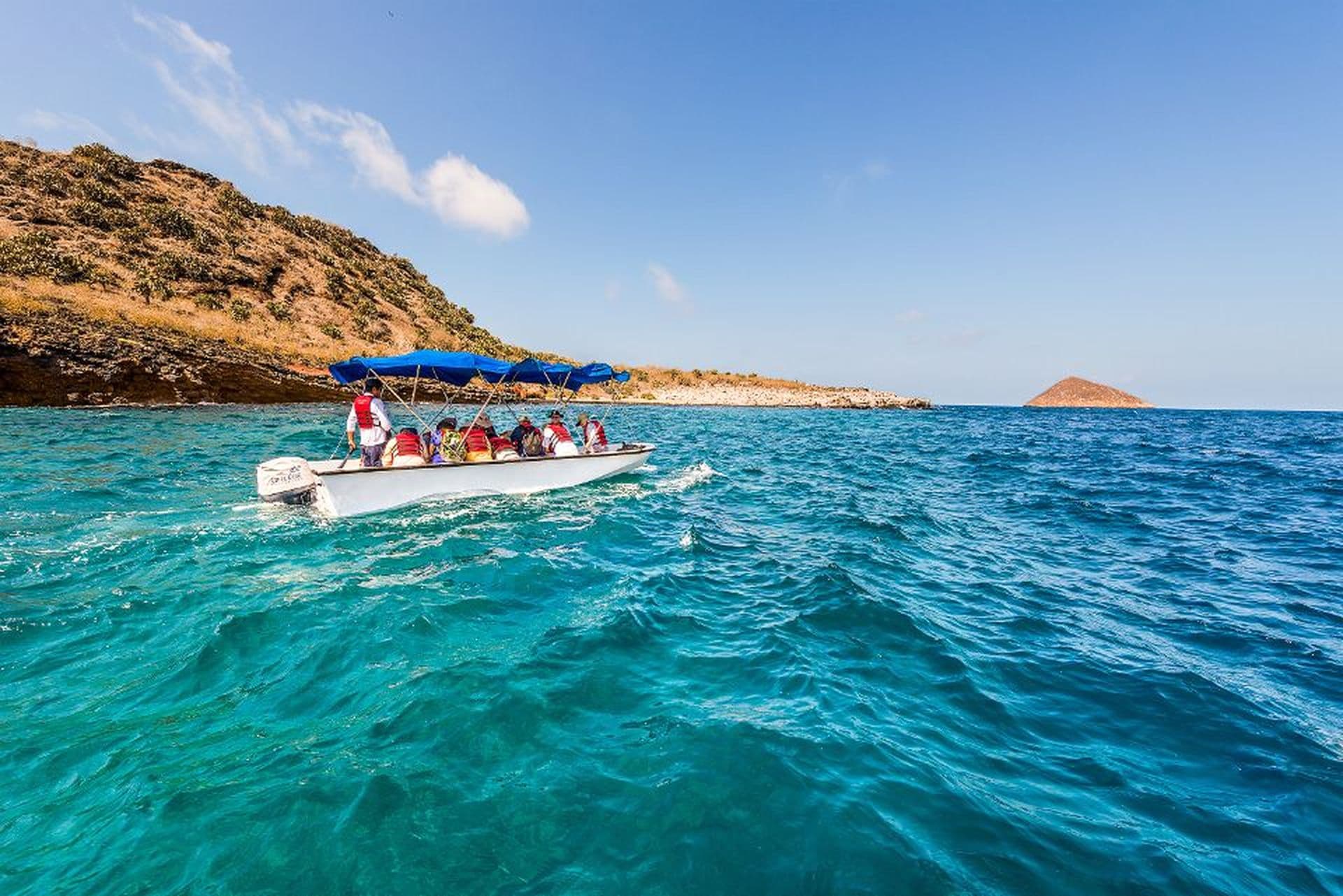 Champion Islet