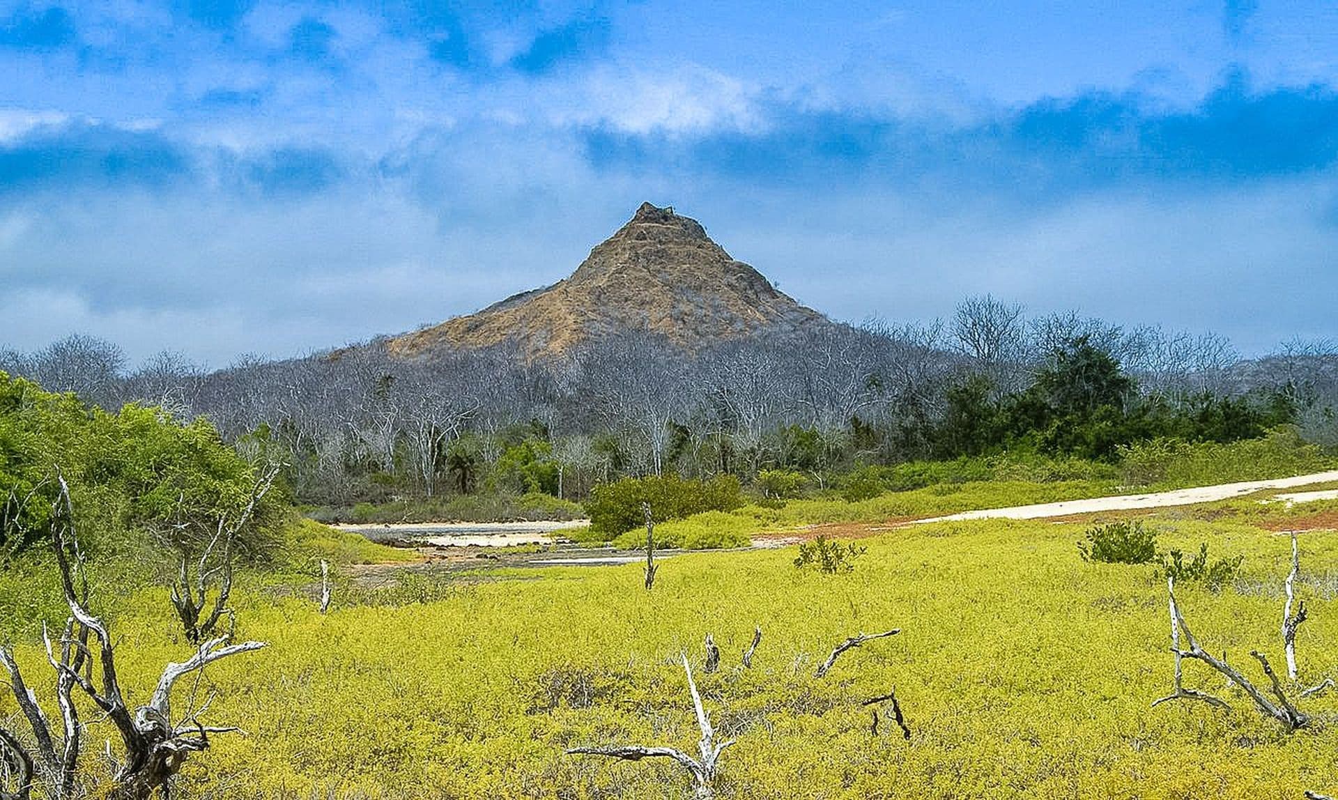 Dragon Hill