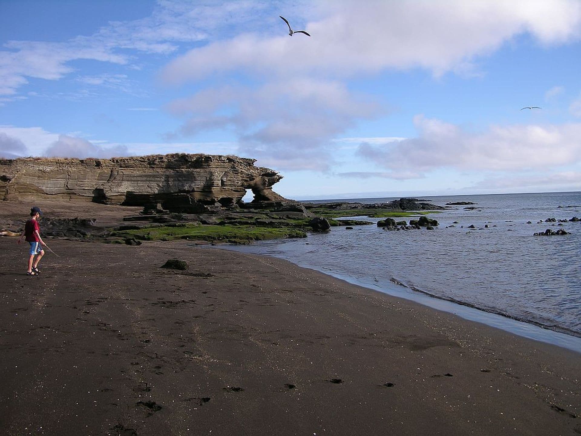 Egas Port