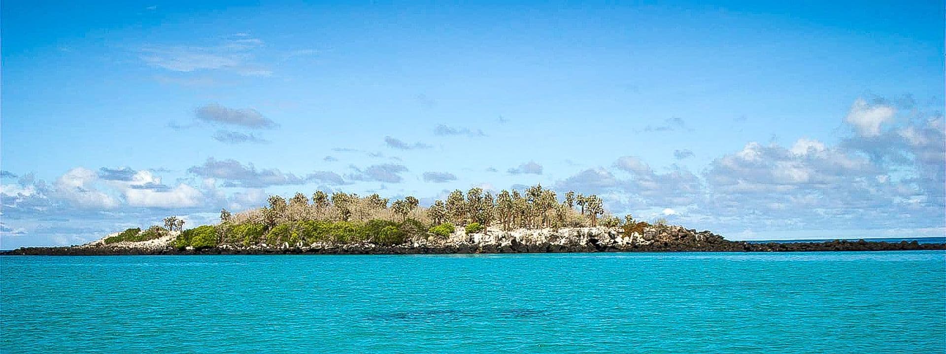 Diving spot in front of Pinzon