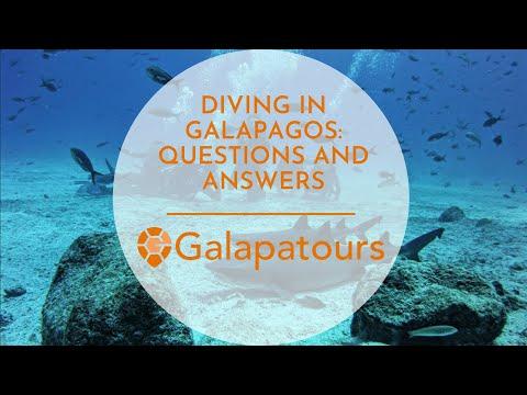 Webinar: Diving in Galapagos