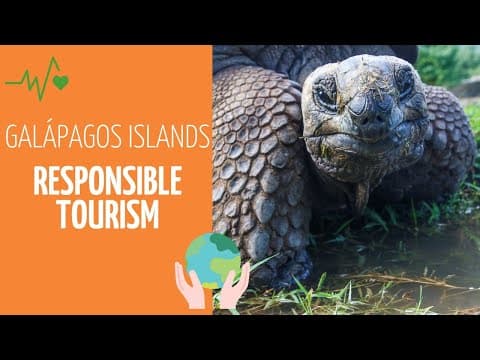 Galapagos - Responsible Tourism