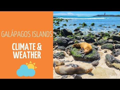 Climate & Weather of Galapagos