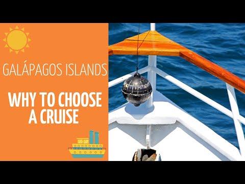 Galapatours - Why to choose a cruise in the Galapagos