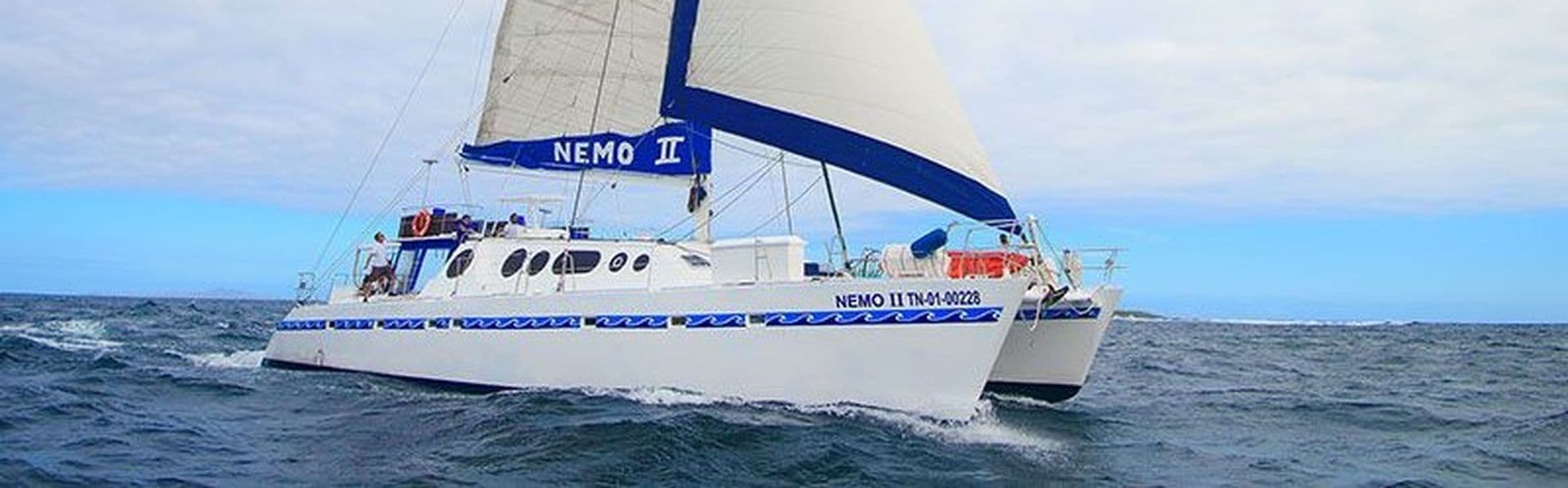 nemoIIshort