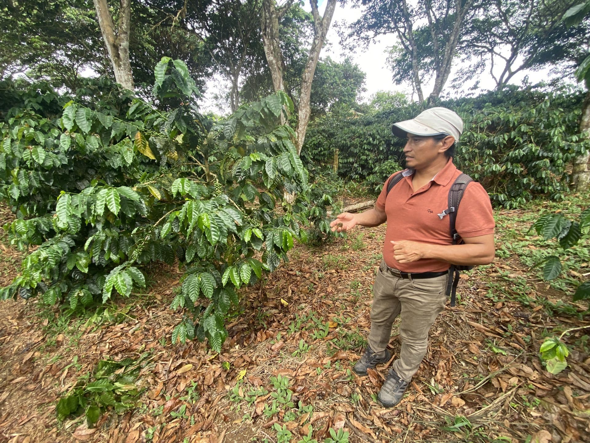 ASAMOGAL Community Tour Galapagos Coffee Tour