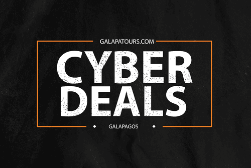 Cyber Deals Galapatours