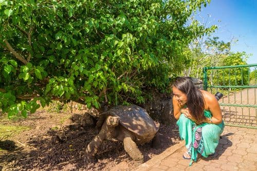 La Galapaguera "Jacinto Gordillo Breeding Center"