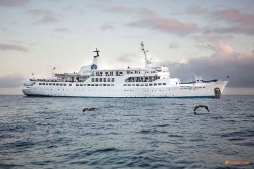 Galapagos Legend Cruise