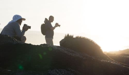 Top 10 Things to do in the Galápagos Islands