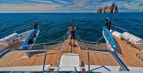 catamaran cruise tip