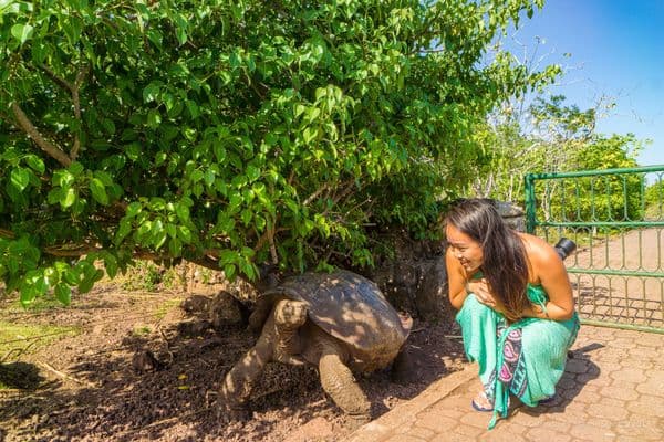 La Galapaguera "Jacinto Gordillo Breeding Center"