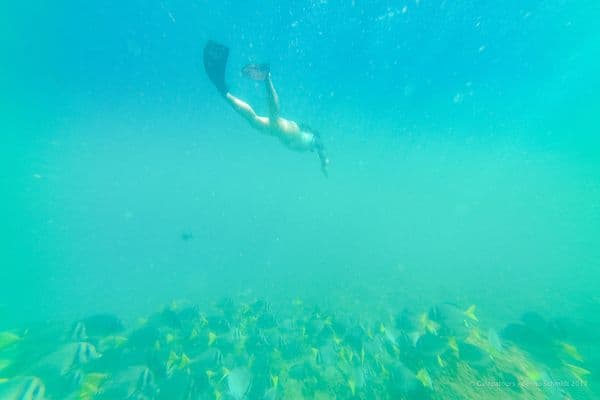 San Christobal - Cerro Brujo - la pinta yacht galapagos cruise - gal0104