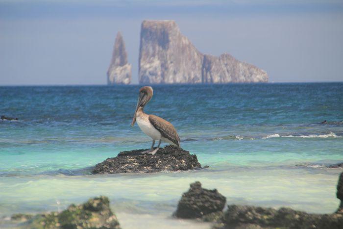 islas Galápagos