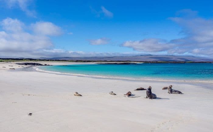 Lobos Island