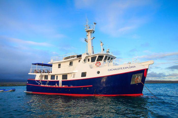 Cachalote Explorer Galapagos Cruise