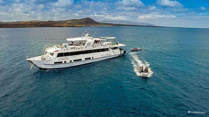 Humboldt Explorer Galapagos Diving Cruise