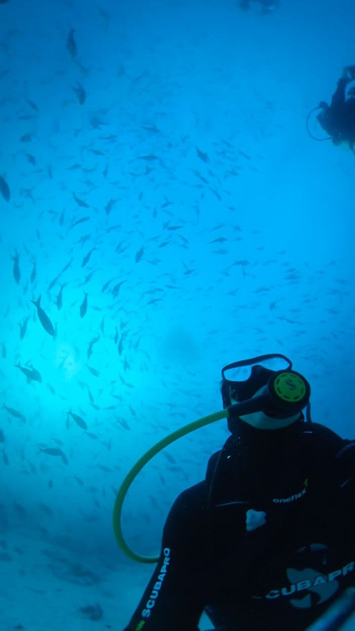 Galapagos Darwin's Arch Darwin's Tower Diving