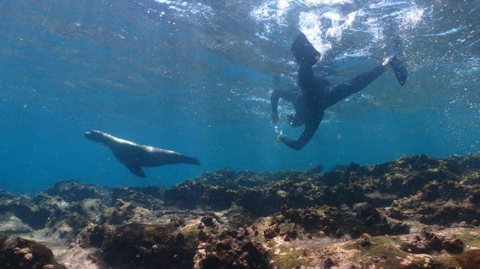 Galaxy Diver Galápagos Cruise