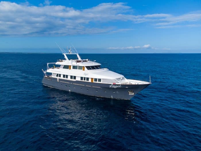 Galapagos Angel Exterior
