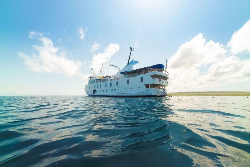 espanola - la pinta yacht galapagos cruise - gal0104